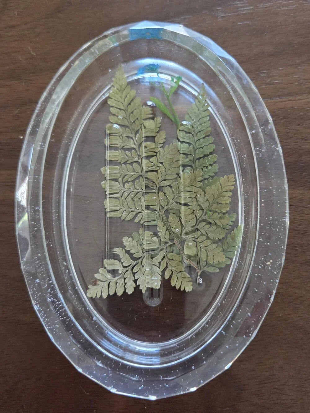 Oval Nature Themed  Soap Dish - Clear  with Green Leaves/Blue Flower